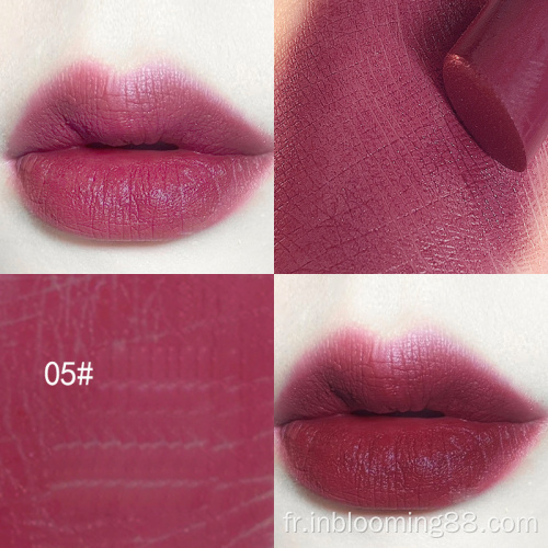 6 couleurs à lèvres mate à lèvres mate maximale étanche